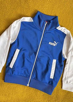 Олімпійка puma