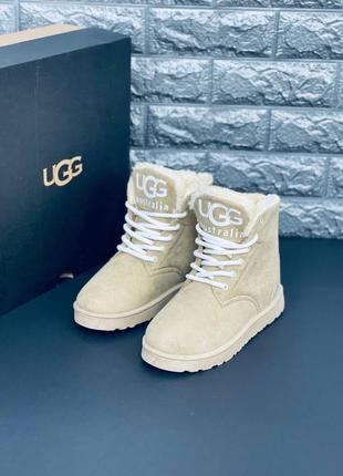 Черевики жіночі ugg australia зимові високі черевики угг уггі повсякденні8 фото