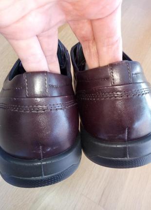 Шкіряні туфлі еко ecco lisbon (802074) /розм. 42, 44 оригінал2 фото