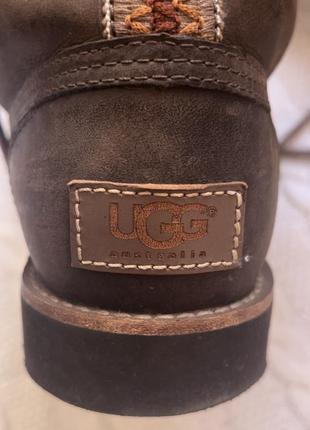 Сапоги ugg сапоги кожа7 фото