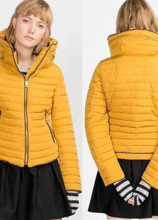 Тёплая куртка на холодную осень, куртка на тёплую зиму, демисезонная куртка, пуховик, куртка с капюшоном, зимняя куртка1 фото