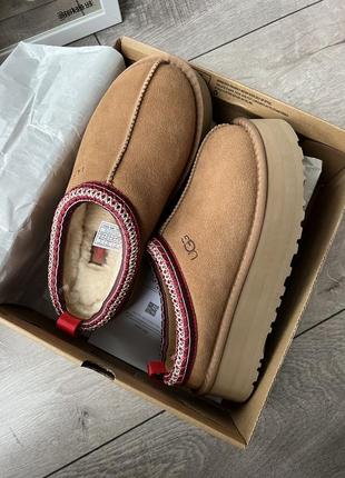 Угги ugg tazz, угги, угги, угги на платформе