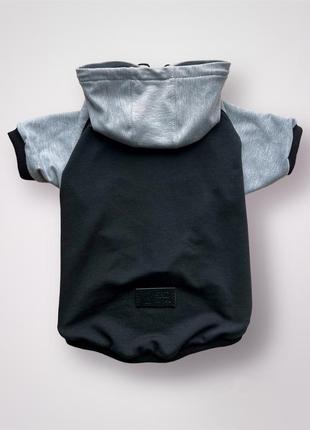 Пайта для собак