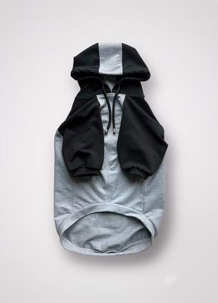 Пайта чорно-сіра для собак