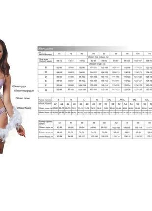 Набор стильных хлопковых трусиков, s,m,l,xl,xxl, obrana/anabel arto