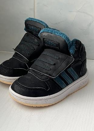 Хайтопи теплі adidas