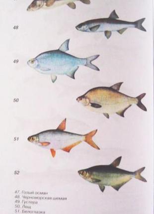 Рыбалка. все, что нужно знать. дмитрий ковальчук7 фото