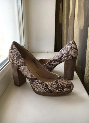 Шкіряні туфлі в принт на високому каблуці