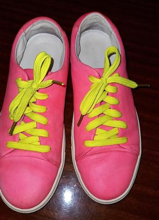 Кроссовки кеды шлепанцы