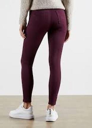 Ted baker легінси
