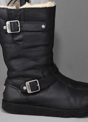 Ugg australia kensington biker угги ботинки зимние мех овчина цигейка оригинал 37-38р/24см