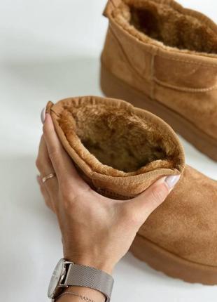 Топовые ugg замшевые4 фото