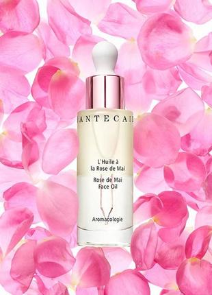 Трояндова олія для обличчя chantecaille rose de mai face oil, 4 мл