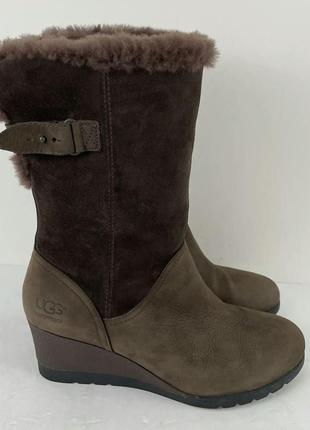 Теплые женские сапоги
ugg edelina boots4 фото