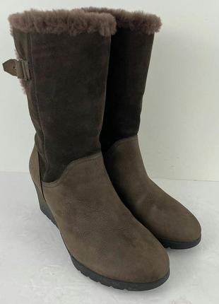 Теплые женские сапоги
ugg edelina boots