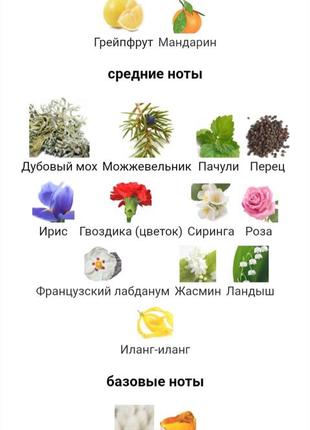 Sisley eau du soir 2 мл парфумована вода мініатюра3 фото