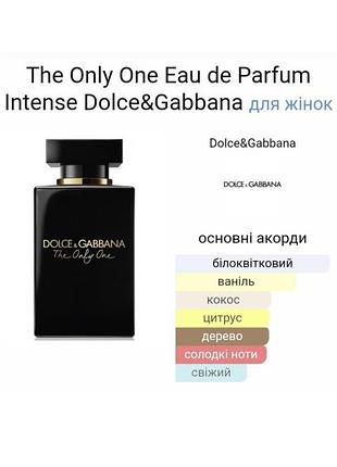 Dolce gabbana the only one