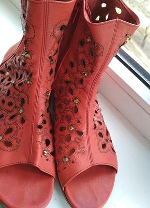 Літні чобітки