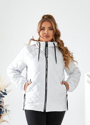 Стёганая куртка с капюшоном батал 4 цвета 48 58