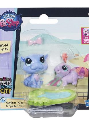 Игровой набор littlest pet shop hasbro - pets in the city sunshine kiboko & splasher kiboko (b5228/в1609)