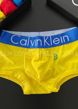 Боксерки чоловічі calvin klein world труси чоловічі кельвін кляйн, італія fellix8 фото