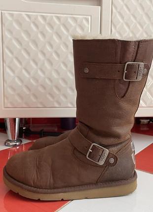 Шикарные брендовые зимние кожаные сапоги угги ugg/100кожа +мех4 фото