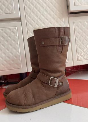 Шикарные брендовые зимние кожаные сапоги угги ugg/100кожа +мех7 фото