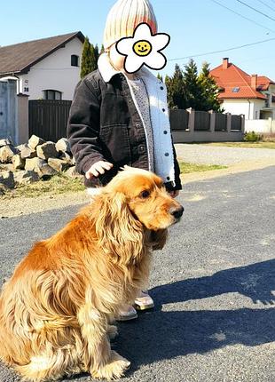 Куртка, дубленка next