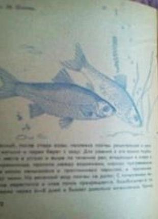 Справочник-календарь рыболова. александр жихарев8 фото