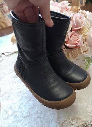 Сапоги