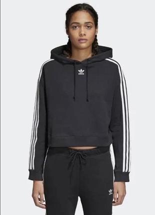 Укорочена толстовка adidas originals