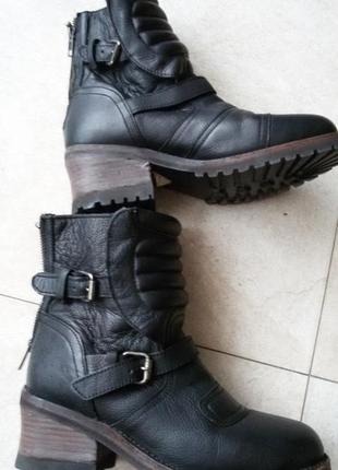 Крутые кожаные ботинки современного итальянского бренда ash,39,5 размер(25,5 см)1 фото