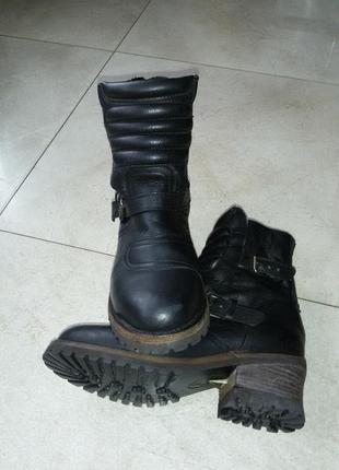 Крутые кожаные ботинки современного итальянского бренда ash,39,5 размер(25,5 см)4 фото