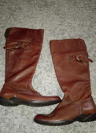 Новые женские сапожки деми кожа rene lezard размер 39-25см