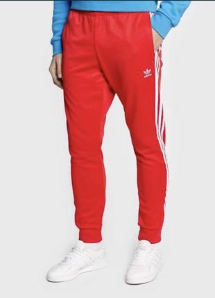 Спортивні штани adidas xl