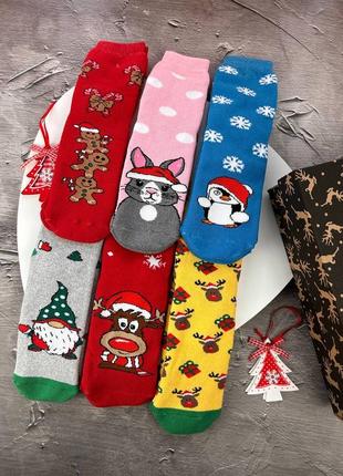 Подарункові бокси | новорічні шкарпетки | жіночі шкарпетки
