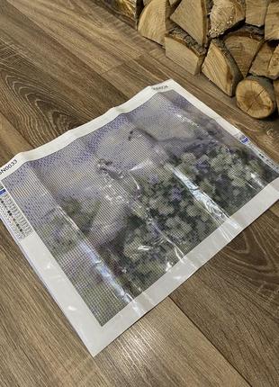Алмазна картина склади сам 30х40 см