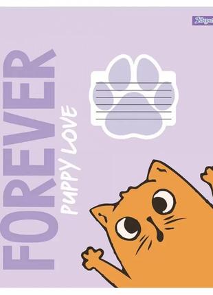 Набір шкільних зошит 1в forever puppy love 12 аркушів (25 штук) 1в_766550_25p коса лінія