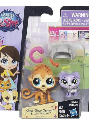 Ігровий набір hasbro littlest pet shop - cheep cheep chipman & luke yorkshire (b3545)