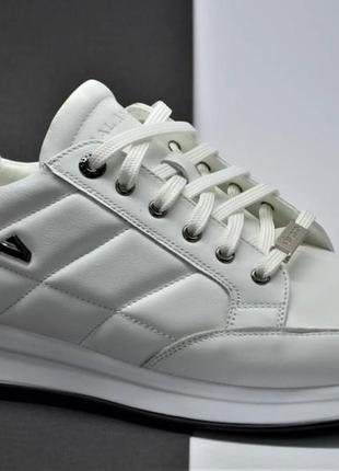 Мужские стильные весенние кожаные кроссовки белые vivaro 260111