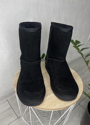 Зимнее сапоги ugg