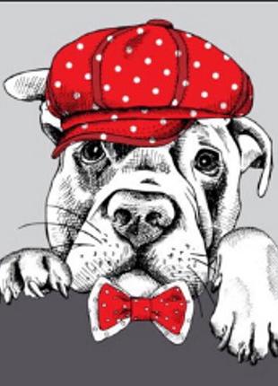 Алмазна мозаїка пес-джентельмен 30х40см, з рамкою, в коробці, h8697