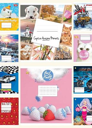 Зошит учнівський 12л. клітка люкс 25шт/упак., те11133