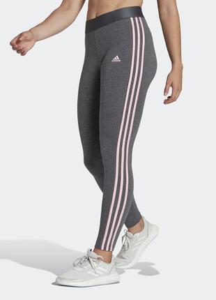 Легінси adidas