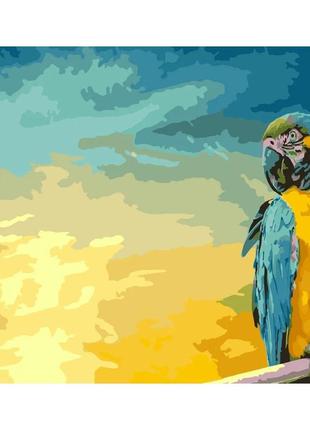 Набор для росписи по номерам сине-желтый попугай стратег 40х50см (gs246), gs246