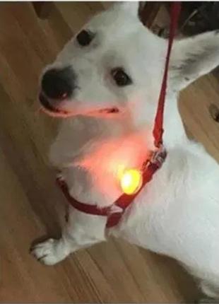 Светодиодный led фонарик для собак и котов на ошейник брелок фонарик для ключей, сумок, рюкзаков оранжевый1 фото
