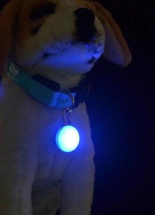 Светодиодный led фонарик для собак и котов на ошейник брелок фонарик для ключей, сумок, рюкзаков оранжевый5 фото