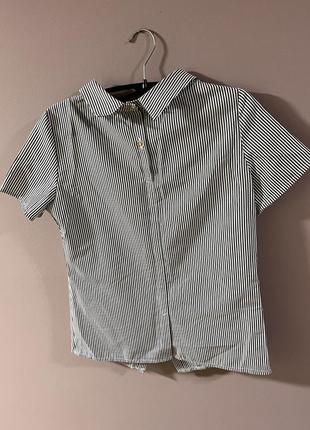 Блузка рубашка