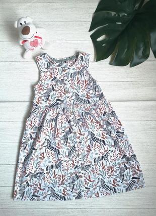 Сукня із зебрами