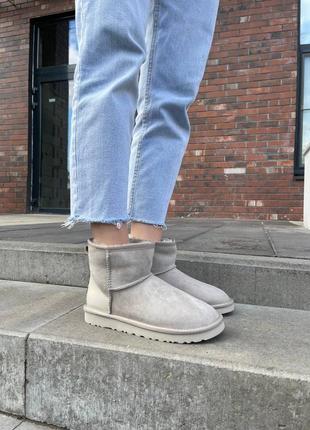 Жіночі уггі угги уги чоботи черевики ботінки ugg light grey metallic suede